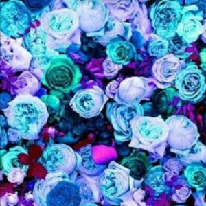 Meet your Posher, Jada